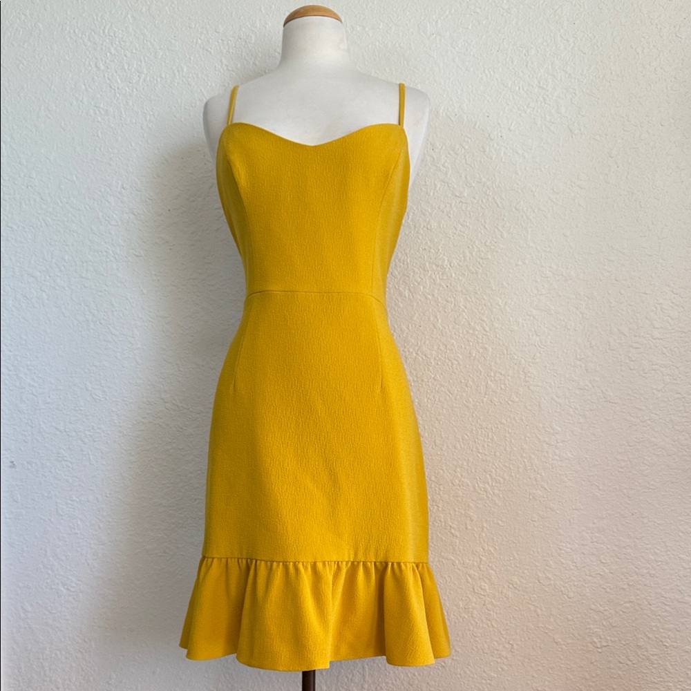 Dress the Population Mira Dress